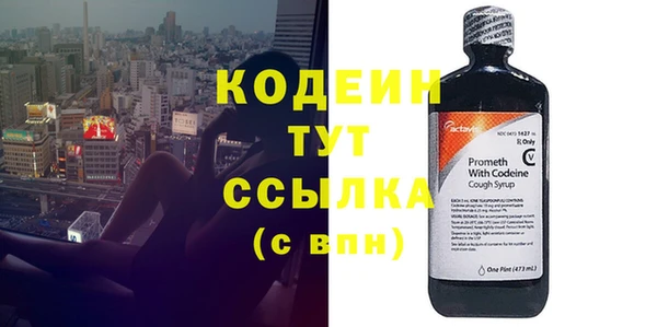 не бодяженный Заводоуковск