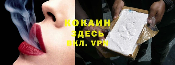 не бодяженный Заводоуковск