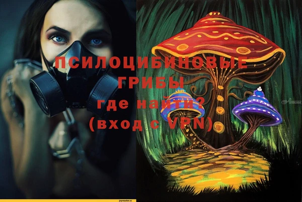 ALPHA PVP Заволжье