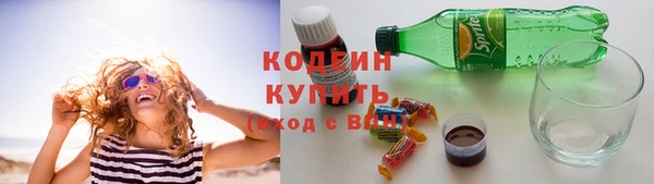 не бодяженный Заводоуковск