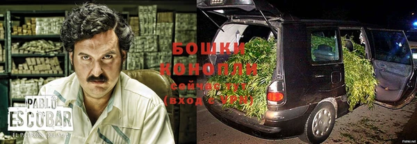 не бодяженный Заводоуковск