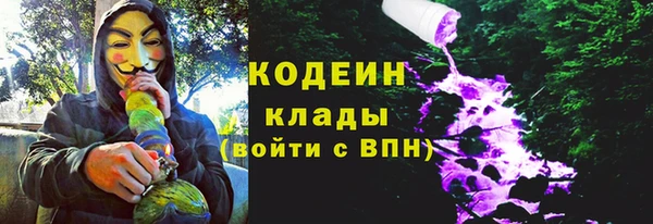 не бодяженный Заводоуковск