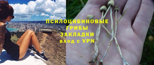 не бодяженный Заводоуковск